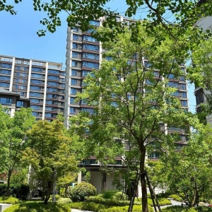 Aԣ2026꣬rǬFڵĵ屶Ϣļٵģ